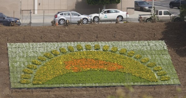 Prius flowerscale 2