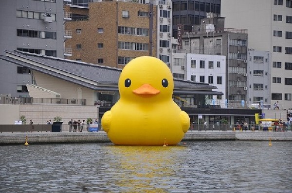 Huge rubber duck canard geant 3