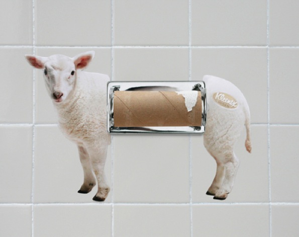 ambient marketing toilets WC kleenex sheep mouton doux extra soft sweet 2