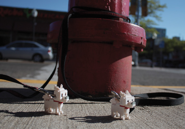 lion dog panda nanoblock lego street team detroit ambient marketing street 1